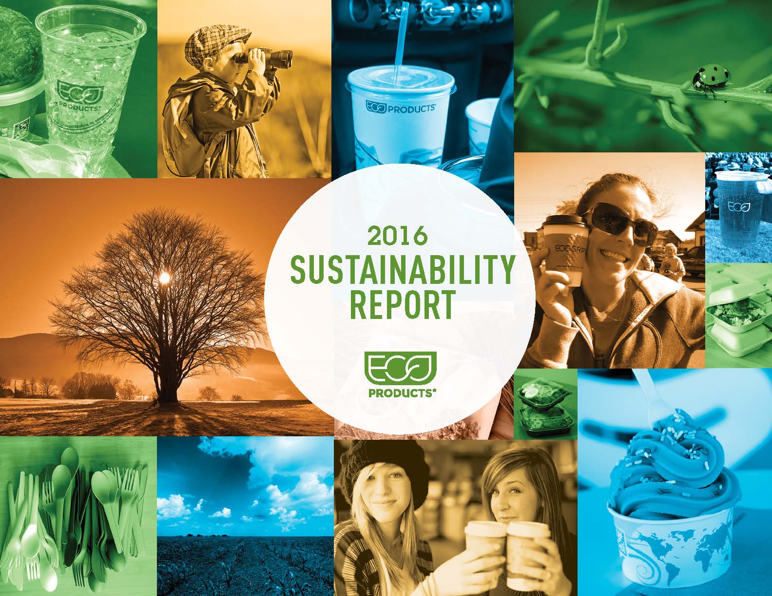 Eco-Products SustainabilityReport_2016_web cover